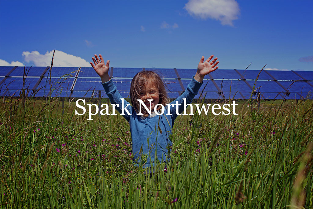 Spark Northwest - Happy young boy in field with solar panels in the background