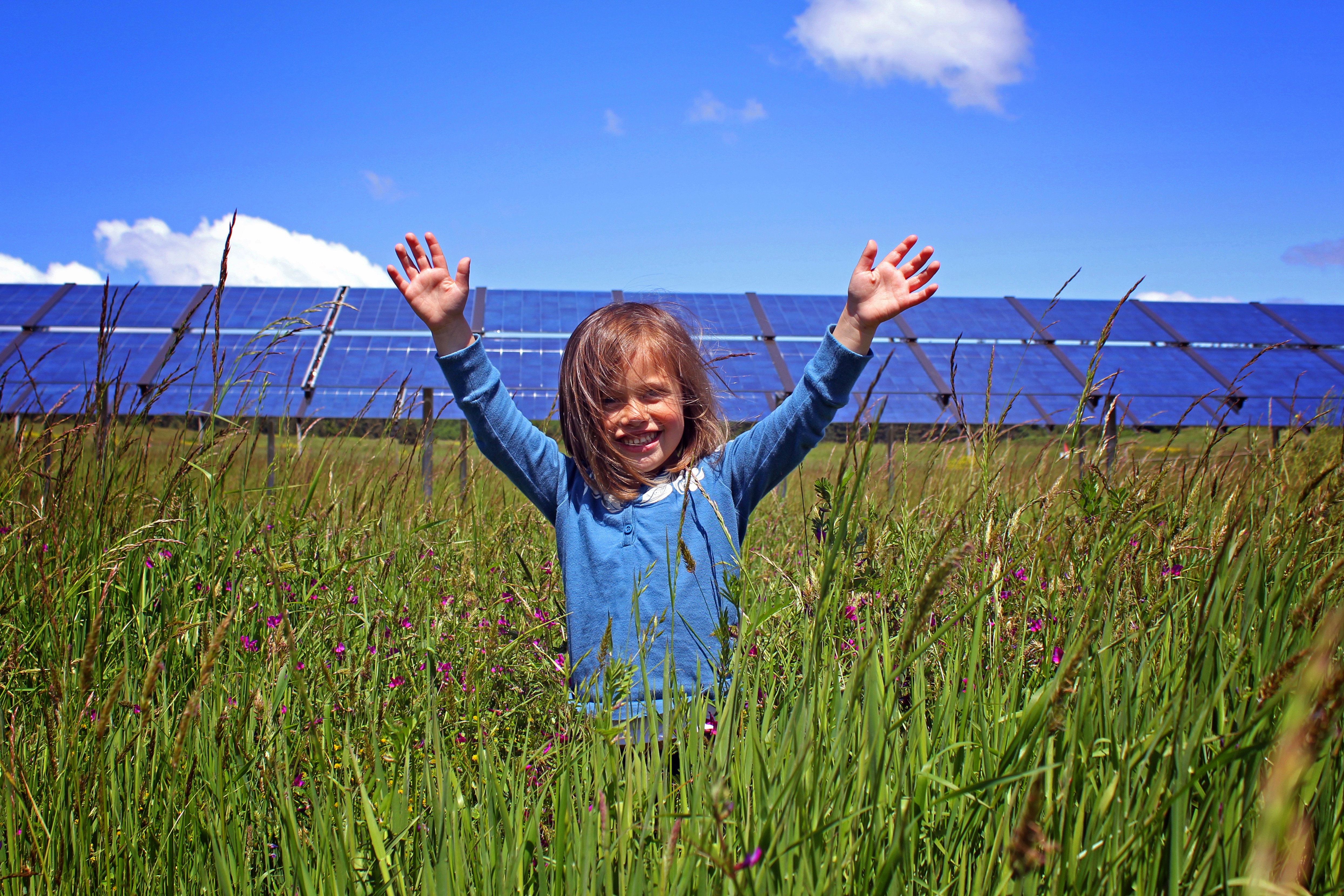 Happy young child wearing a blue shirt, in field with solar panels in the background