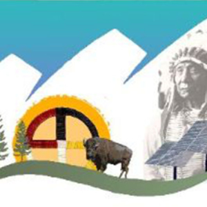 Buffalo in a field and a Native American in the background behind solar panels