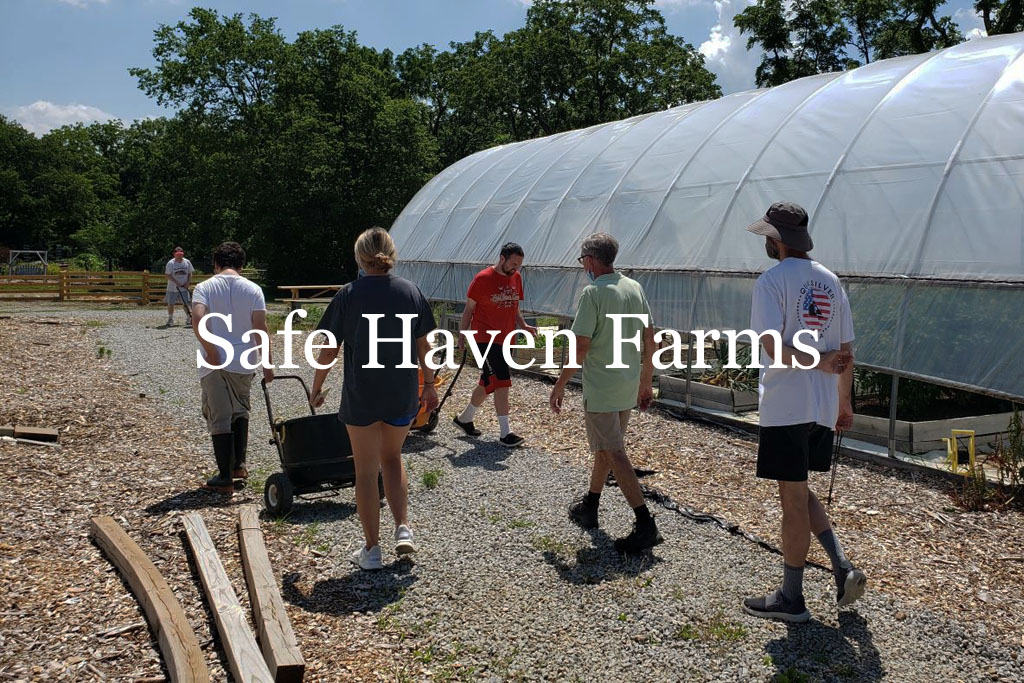 Safe Haven Gallery