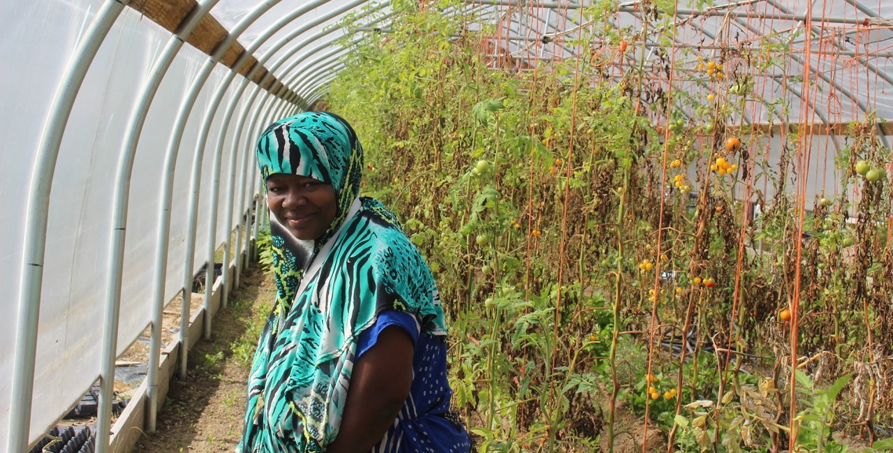 Asli Hoophouse