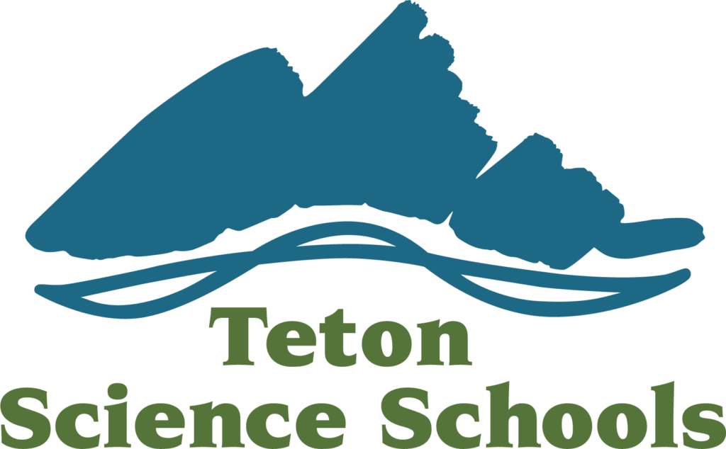 Parent Logo Clr