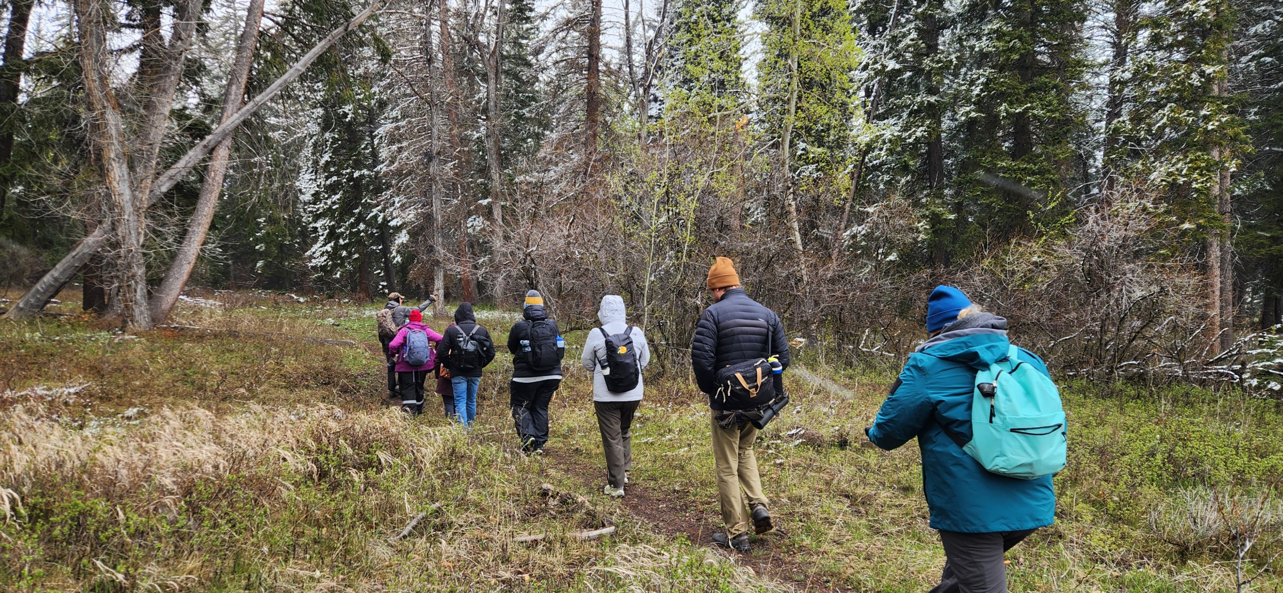 Whole group horizontal Naturalist hike 2026 Place Network Conference (1)